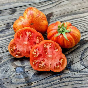 Cherokee Tiger Large Red Dwarf  Tomato Cherokee Tiger Large Red Dwarf  Tomato