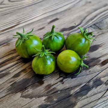 Grinch Cherry Dwarf Tomato Grinch Cherry Dwarf Tomato