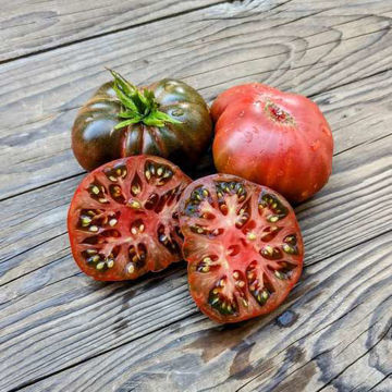 Purple Reign Dwarf Tomato Purple Reign Dwarf Tomato