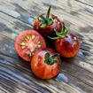 Märchenglanz Cherry Tomato