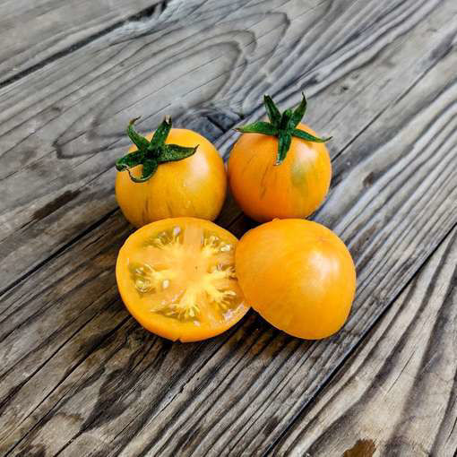 Apricot Zebra Cherry Tomato