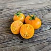 Apricot Zebra Cherry Tomato