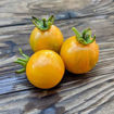 Apricot Zebra Cherry Tomato