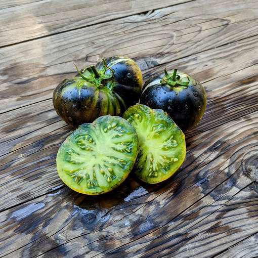 Märchenwald Tomato
