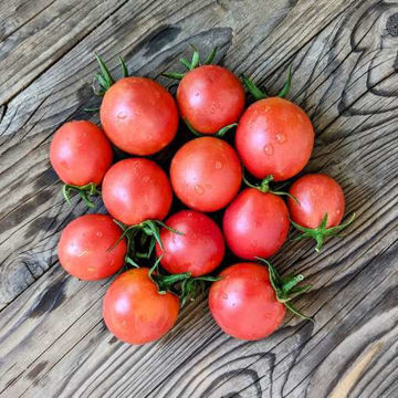 De Barao Pink Tomato De Barao Pink Tomato