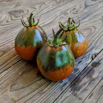 Wine Jug Tomato Wine Jug Tomato