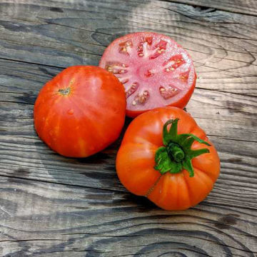 Rajskoe Naslazhdenie Beefsteak Tomato Rajskoe Naslazhdenie Beefsteak Tomato