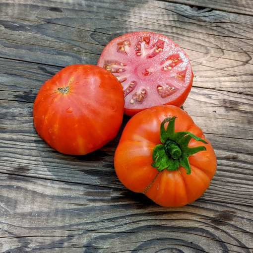 Rajskoe Naslazhdenie Beefsteak Tomato