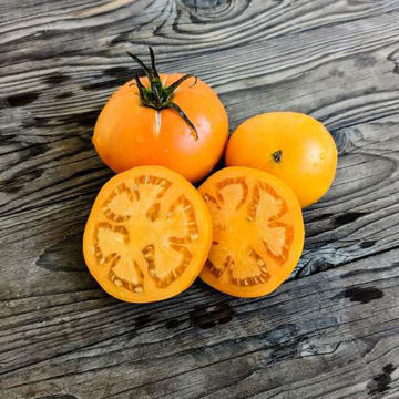 Caro Rich Beefsteak Tomato Caro Rich Beefsteak Tomato
