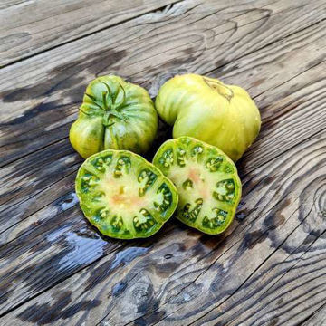Cherokee Lime Beefsteak Tomato Cherokee Lime Beefsteak Tomato