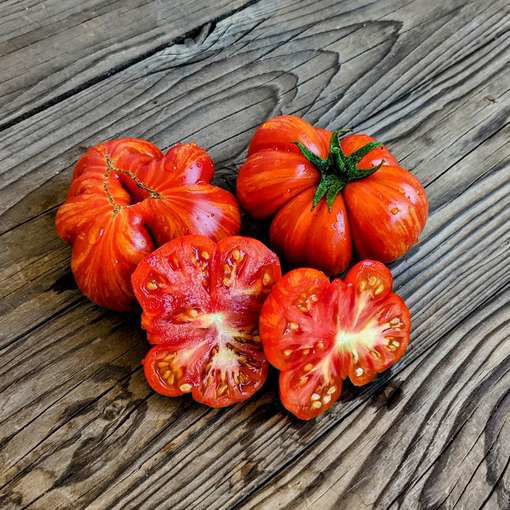 Delta Dawn Beefsteak Tomato
