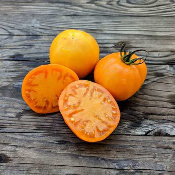 Hurma Beefsteak Tomato Hurma Beefsteak Tomato