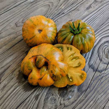 Orange Ghabbana Beefsteak Tomato Orange Ghabbana Beefsteak Tomato