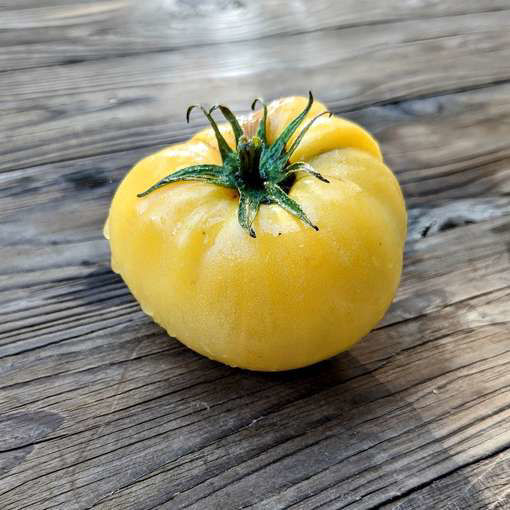 Vincent’s White Beefsteak Tomato-Meraki Seeds