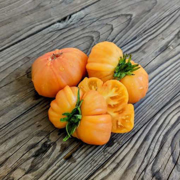 Maerizol Meydzhyk Beef Tomato Maerizol Meydzhyk Beef Tomato