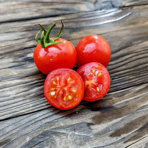 Ambrosia Red Tomato