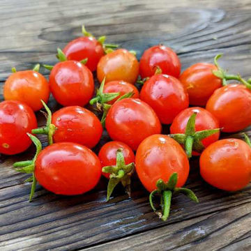 Angelle Cherry Tomato Angelle Cherry Tomato