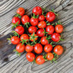 Angelle Cherry Tomato