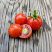 Annas Japanska Cherry Tomato