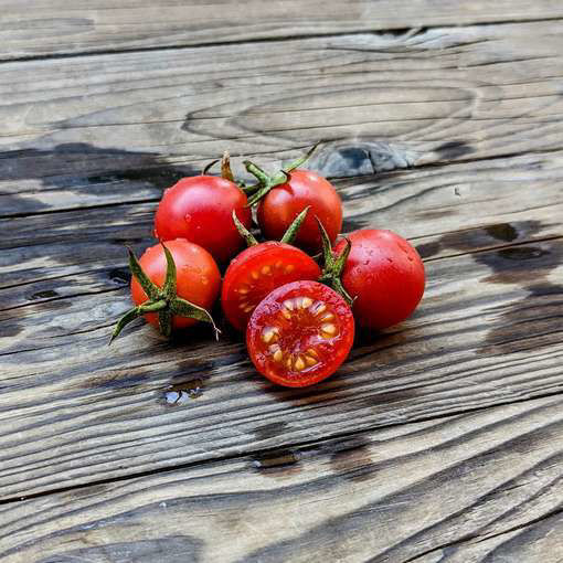 Fruit Punch Cherry Tomato