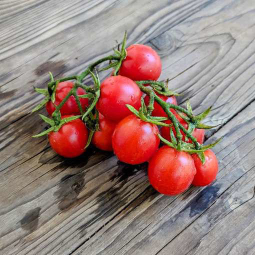Fruit Punch Cherry TomatoMeraki Seeds