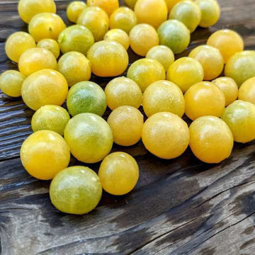 Honey Bubbles Cherry Tomato Honey Bubbles Cherry Tomato