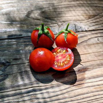 Ingrid Cherry Tomato Ingrid Cherry Tomato