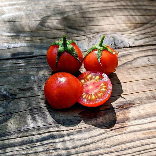 Ingrid Cherry Tomato