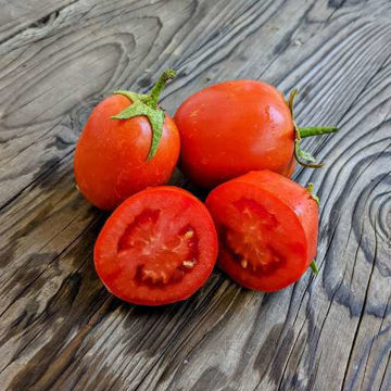 Rio Fuego Paste-Type Tomato Rio Fuego Paste-Type Tomato