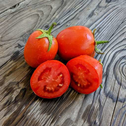 Rio Fuego Paste-Type Tomato