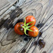 Black Centiflor Cherry Tomato