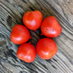 Legenda Tarasenko Heartshaped Cherry Tomato