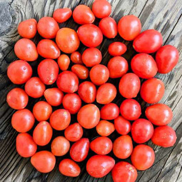 Little Billy Keyes Cherry Tomato Little Billy Keyes Cherry Tomato