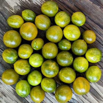 Sister Keyes Cherry Tomato Sister Keyes Cherry Tomato