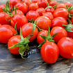 Geranium Kiss Cherry Tomato