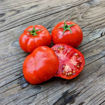 BetaLux Micro Dwar Tomato