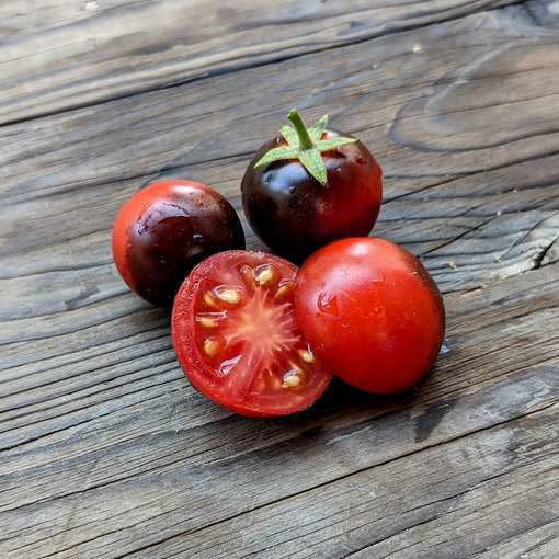 Micro Purple Micro Dwarf Tomato