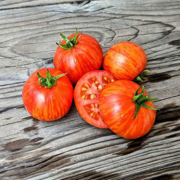 Show details for Tiny Tiger Micro Dwarf Tomato Picture of Tiny Tiger Micro Dwarf Tomato