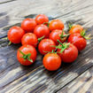 Tiny Tim Micro Dwarf Tomato