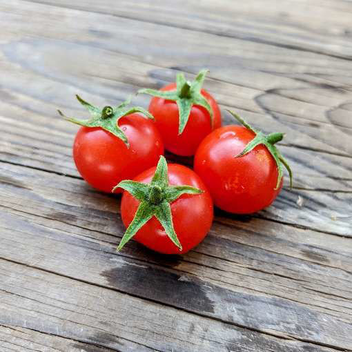 Vilma Micro Dwarf Tomato