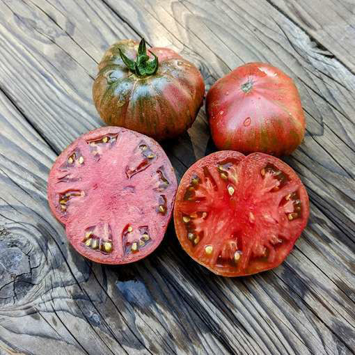 Crimson Sockeye Dwarf Tomato