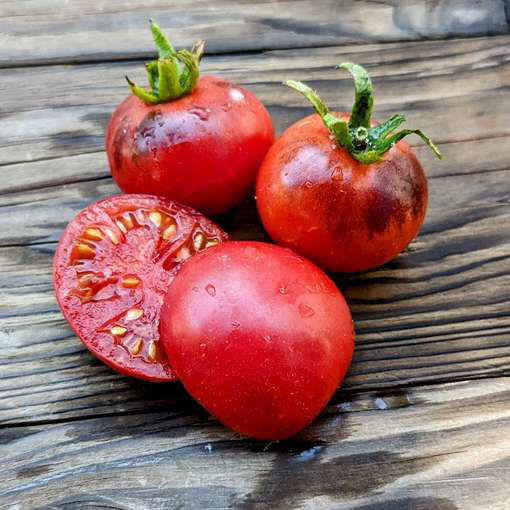 Indigo Blue Berries Tomato – HOSS