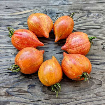 Crushed Heart Tomato Crushed Heart Tomato