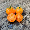 Japanese Trifele Orange Tomato