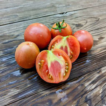 Kozula 156 Beefsteak Tomato Kozula 156 Beefsteak Tomato