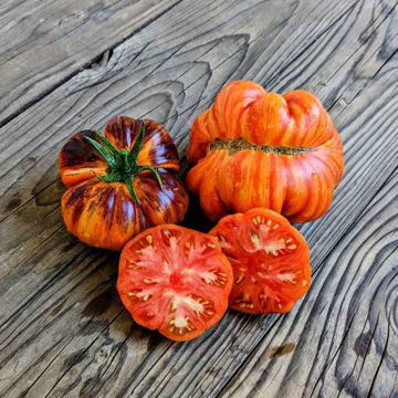 Red Beauty Beefsteak Tomato Red Beauty Beefsteak Tomato