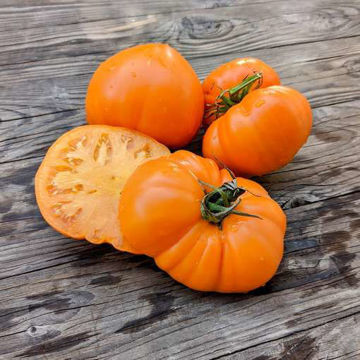 Oxheart Orange Beefsteak Tomato Oxheart Orange Beefsteak Tomato