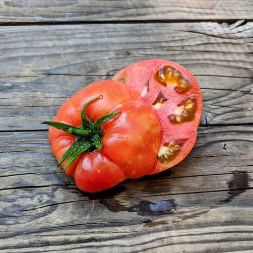 Sakharnyi Slon Beefsteak Tomato