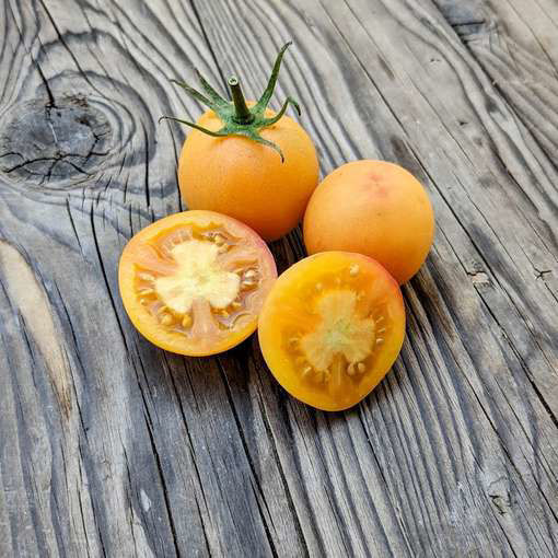 Maerizol Meydzhyk Tomato