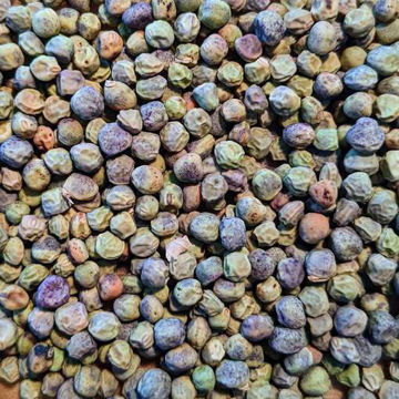 Low Early Grey Pea Low Early Grey Pea